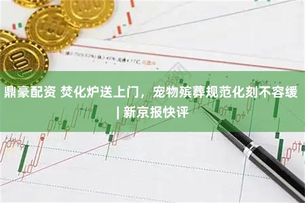 鼎豪配资 焚化炉送上门，宠物殡葬规范化刻不容缓 | 新京报快评